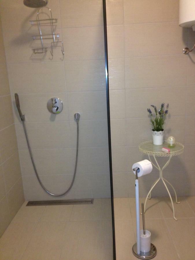 Apartment Lenka 塞尼 外观 照片